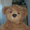Teddy Saunders - @teddyrulesthewrld - TikTok