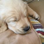 @theofficialteddyscanlon - Instagram