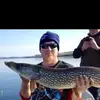 Todd Scanlon - @toddscanlon - TikTok