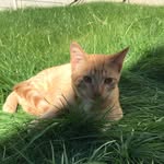 Teddy Schaffer - @teddyschaffer18 - Instagram