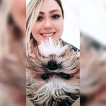 Teddy 🧿 - @teddy_shihtzu_2019 - Instagram