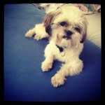 @teddy_shih - Instagram
