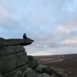 Teddy Shih - @teddyscf - Instagram