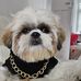 Teddy Shih Boo - Facebook