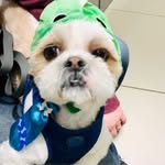 Teddy - @teddy.shih - Instagram
