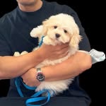 Teddy - @teddy_shihchon - Instagram
