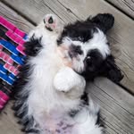 Teddy Shipley - @teddy.shipley - Instagram