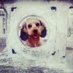 Teddy Silva - Facebook