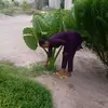 Teddy Simon - @teddy.simon8 - TikTok