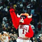 Teddy Simpson - @tedneznbafan - Instagram