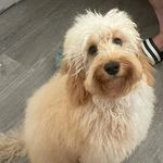 Teddy Simpson - @t.simpson2022 - Instagram