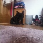 Teddy Simpson - @teddy_cute_ - Instagram