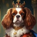 Teddy Sinclair - @teddythecav2023 - Instagram