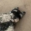 Teddy_Skinner - @teddy_skinner - TikTok