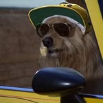 Teddy Slater - @tebbytater - Instagram