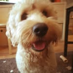 Teddy Slater-Gillies - @teddy_sillies - Instagram