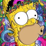teddy _ snow - @teddy__snow - Instagram