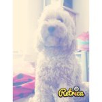 Teddy Snow - @teddysnow1 - Instagram