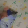 Teddy Snow - @teddy.snow65 - TikTok