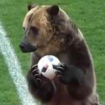 @teddy_snow_ - Instagram