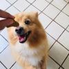Teddy🐶 - @teddysolisrmz - TikTok