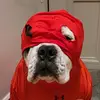 spenceteddygames - @spenceteddygames - TikTok
