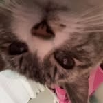 Teddy Spence - @teddy.spence08 - Instagram