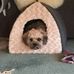 Teddy Spence - Facebook