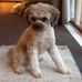 Teddy Spence - Facebook
