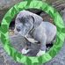 Stanley Teddy - Facebook