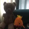 Teddy & Stanley - @teddy.andstanley - TikTok