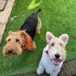 Teddy and Stanley - @stanandteds_excellentadventure - Instagram