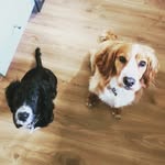 teddy and stanley - @super_ted_and_side_eye_stan - Instagram