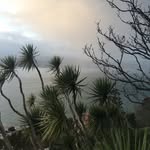 Teddy Stanley - @teddypstanley - Instagram