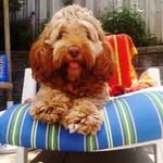 Teddy Stanley - @teddystanley1 - Instagram