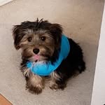 teddybear12 - @teddybearstanton - Instagram