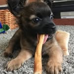 Teddy_Steinmueller - @teddy_steinmueller - Instagram