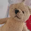🧸 - @strongteddyz - TikTok