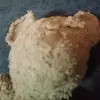 teddy - @teddyisstrong - TikTok