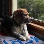Teddy R. Suarez - @old_man_teddy - Instagram