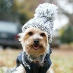Teddy Suarez - @tiny_teddyman - Instagram