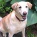 Teddy Sullivan - Facebook