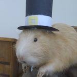 Teddy Swanson - @swanson.t.w - Instagram