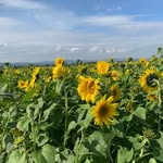 Teddy Swanson - @teddys2128 - Instagram