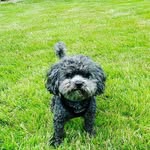 Teddy Swanson - @teddy_and_friends123 - Instagram