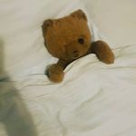 Teddy john francy sweeney - @teddyjohnfrancy - Instagram
