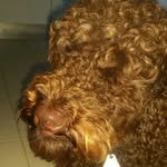 teddy_swiftyfan - @teddy_swiftyfan - Instagram