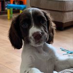 Teddy - @teddyswift2020 - Instagram
