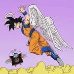 Teddy Tam - @teddy.tam.pig - Instagram