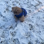 Teddy Taylor - @teddy_taylor_living_best_life - Instagram